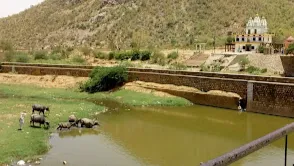 Sariska Tiger Reserve